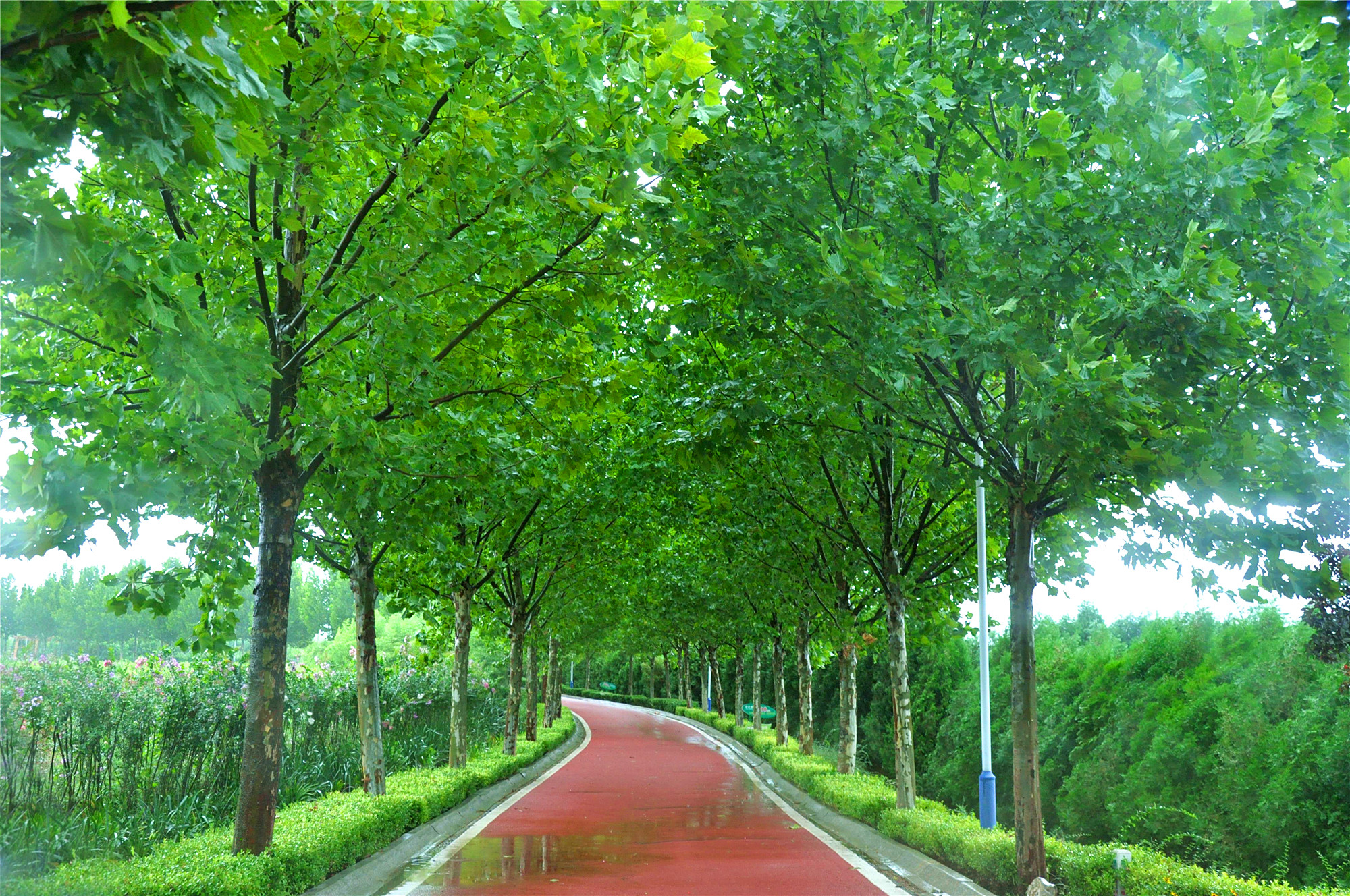 秋意还浅 | 带你一起去看秋雨中的嗡嗡乐园！