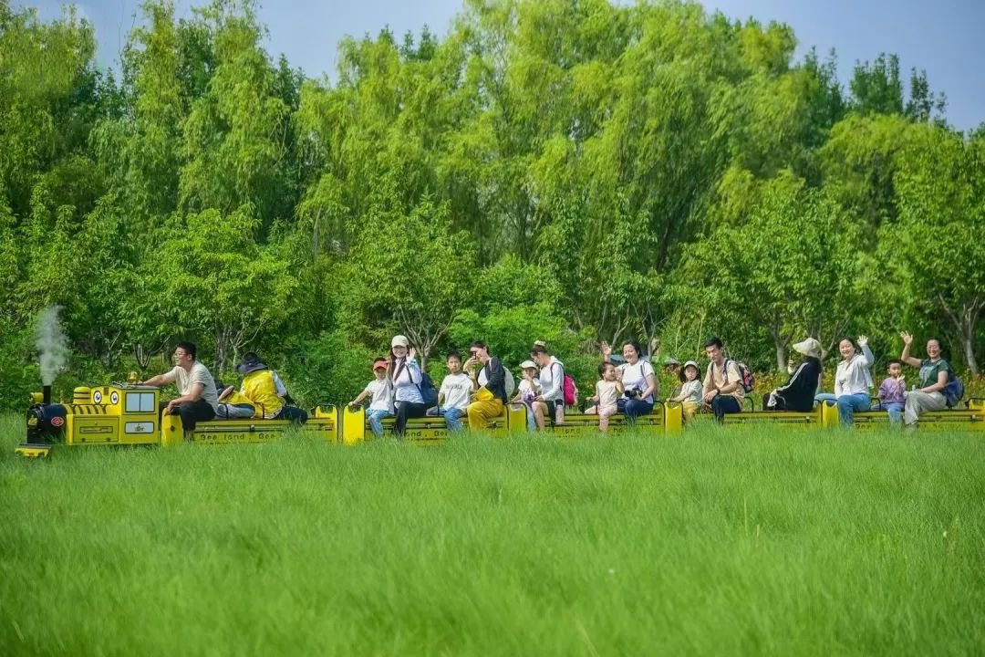 填空题：这么近，那么美，周末到_____！