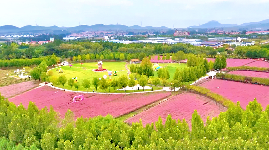 嗡嗡乐园遛娃图鉴| 这个国庆，带娃来玩也太city了↘️