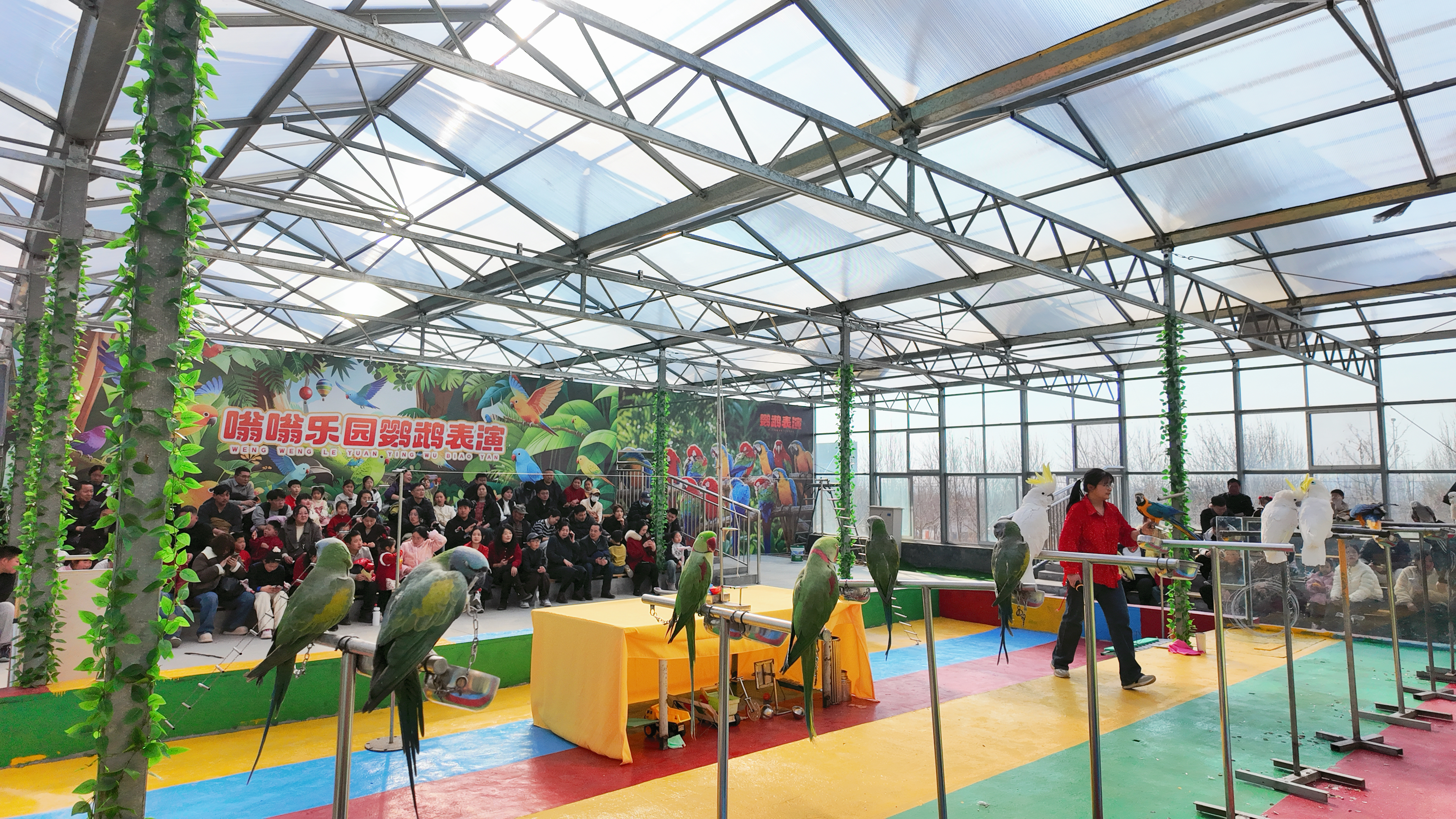 清明踏青好去处！嗡嗡乐园花开正好，萌宠+研学+游乐，一键解锁假期欢乐！